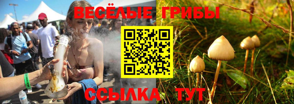 Псилоцибиновые грибы GOLDEN TEACHER Еманжелинск